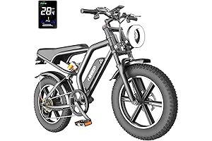 20-inch Electric Fat Tire Ride Dirt Electric Motorcycle Bicycle
