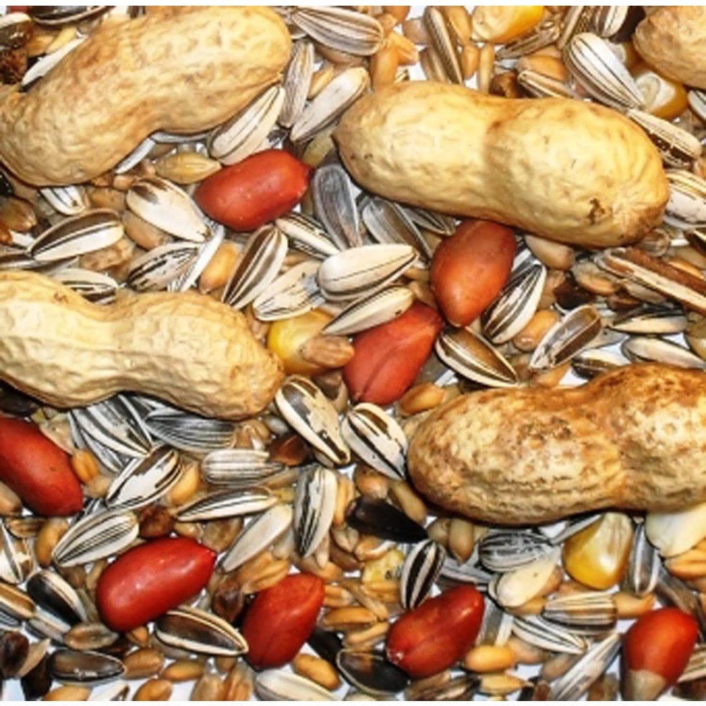 Blue Sky Feeds 5KG Squirrel And Chipmunk Food