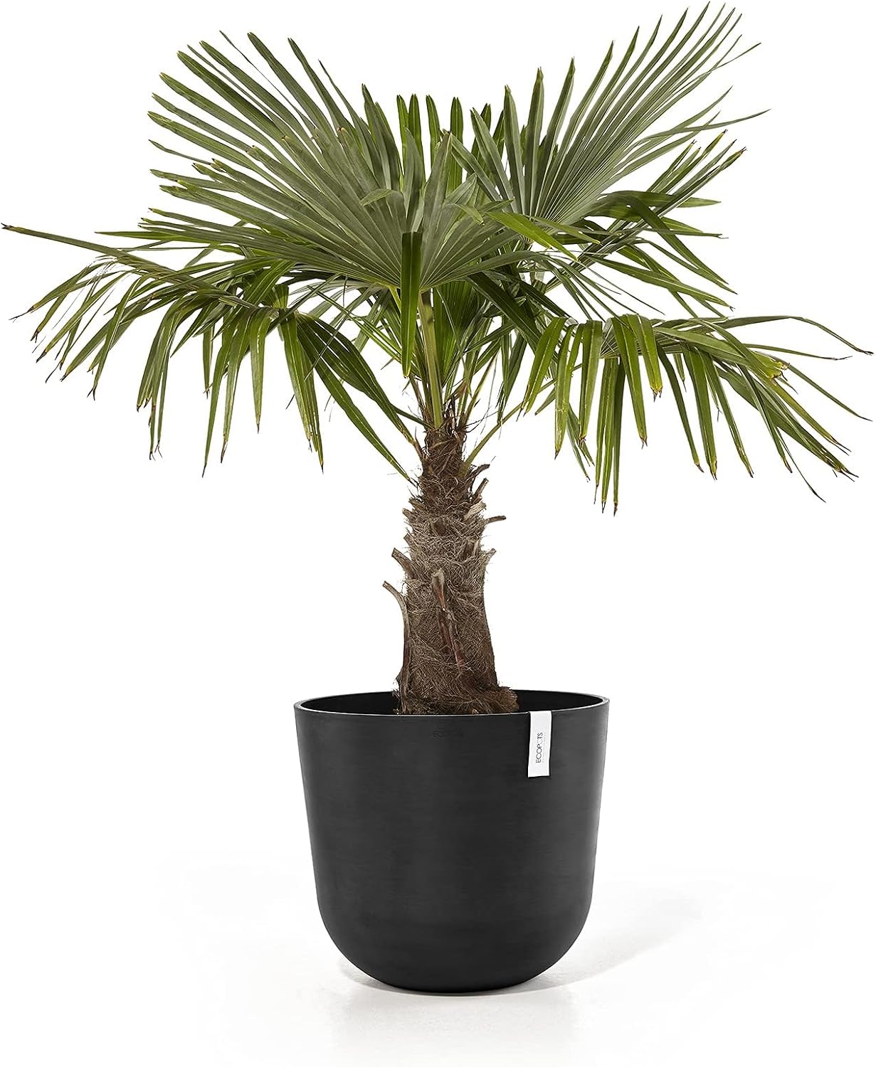 Ecopots Oslo Medium Round Planter - 21.7 in x 21.7 in x 18.9 in - Dark Grey