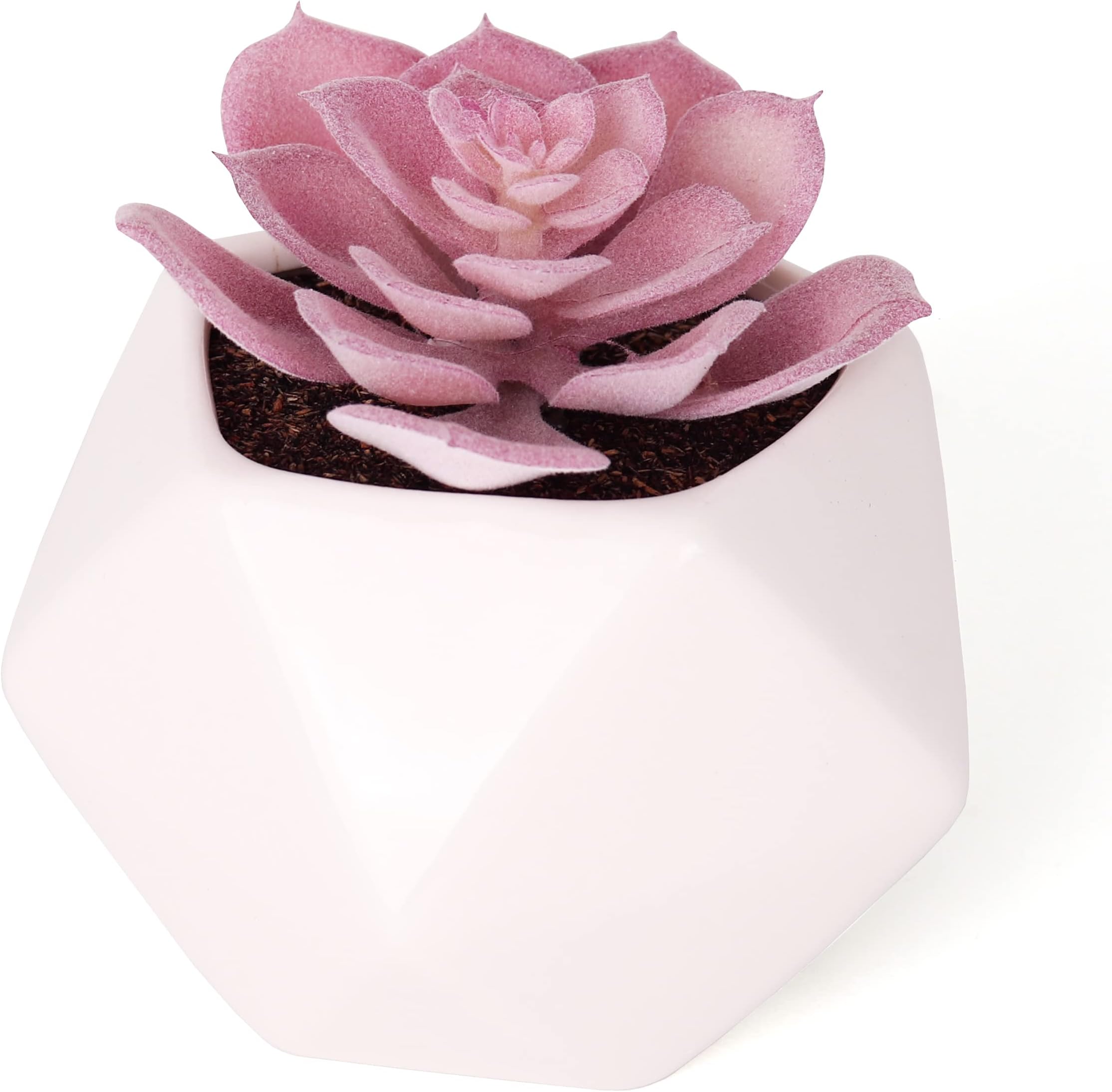 Artificial Succulent - Fake Succulent in Planter - Faux Succulent with Ceramic Geometric Planter - Echeveria Succulent - Artificial Potted Plant (Single)