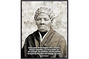 Black African American Civil Rights Poster for Classroom