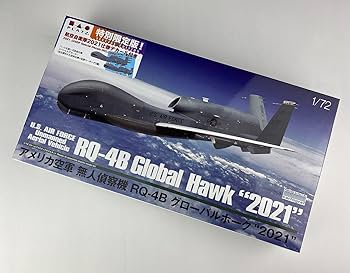 激レア RQ-4Bが飛行し機密扱いの特命ミッション時に機内に搭載されたフラッグ 激レア RQ-4Bが飛行し機密扱いの特命ミッション時に機内に搭載