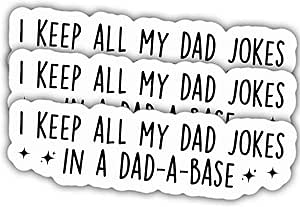 Amazon.com: 3pcs Dad Stickers GIF for Dad Father Decals I Keep All My ...