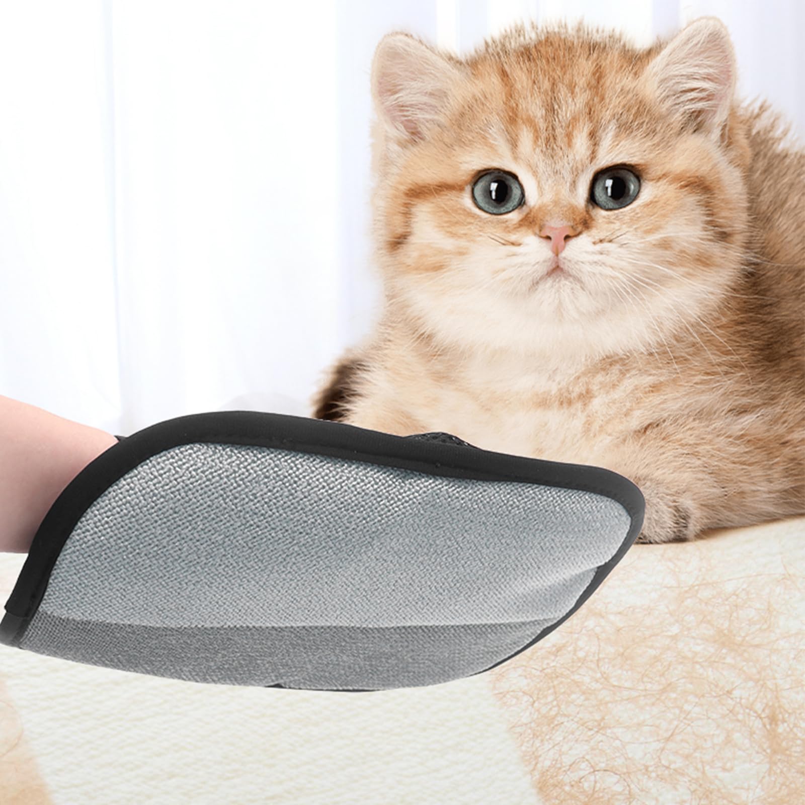 Gant Anti Poils Animaux, Double Face Réutilisable Gant Statique Attrape-Poils, Brosse Poils Animaux pour Chiens & Chats, Gant Poil Chat pour Meubles, Vêtements, Tapis & Voiture 1 Pièces