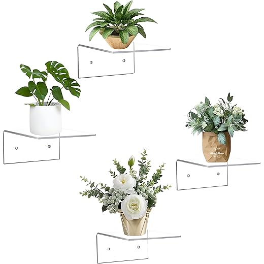 Acrylic Wall Shelf 4-Pack Small Clear