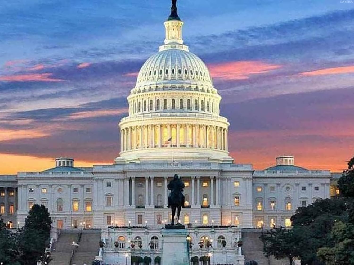 White House DIY 5D Diamond Painting by Number Unique Kits Home Wall Decor Crystal Rhinestone Wall Decor 12x16inch