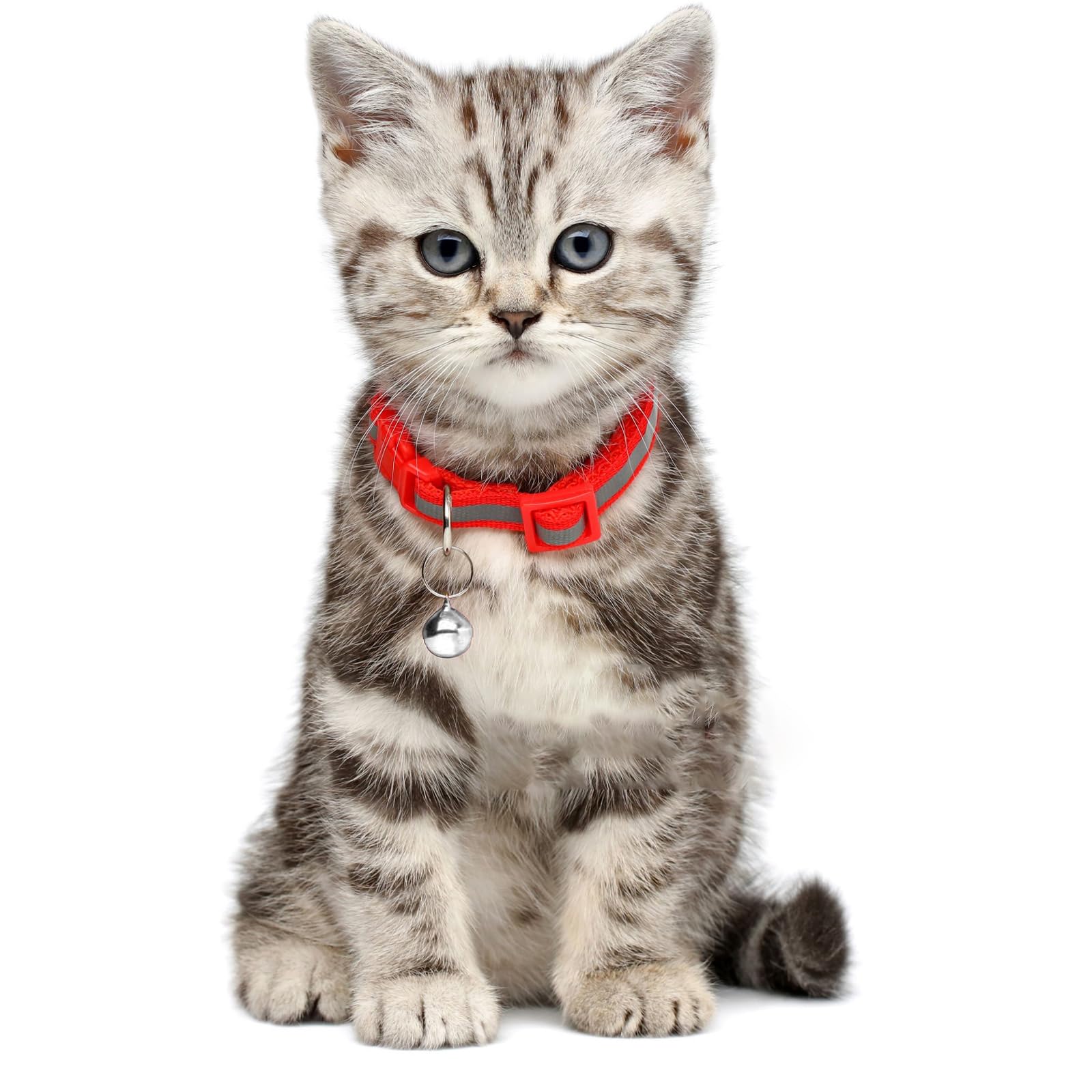 Jingle Bells Metallici 24 Pezzi Campana Collare per Cani e Gatti Fibbie Ciondolo Forte Animali Domestici