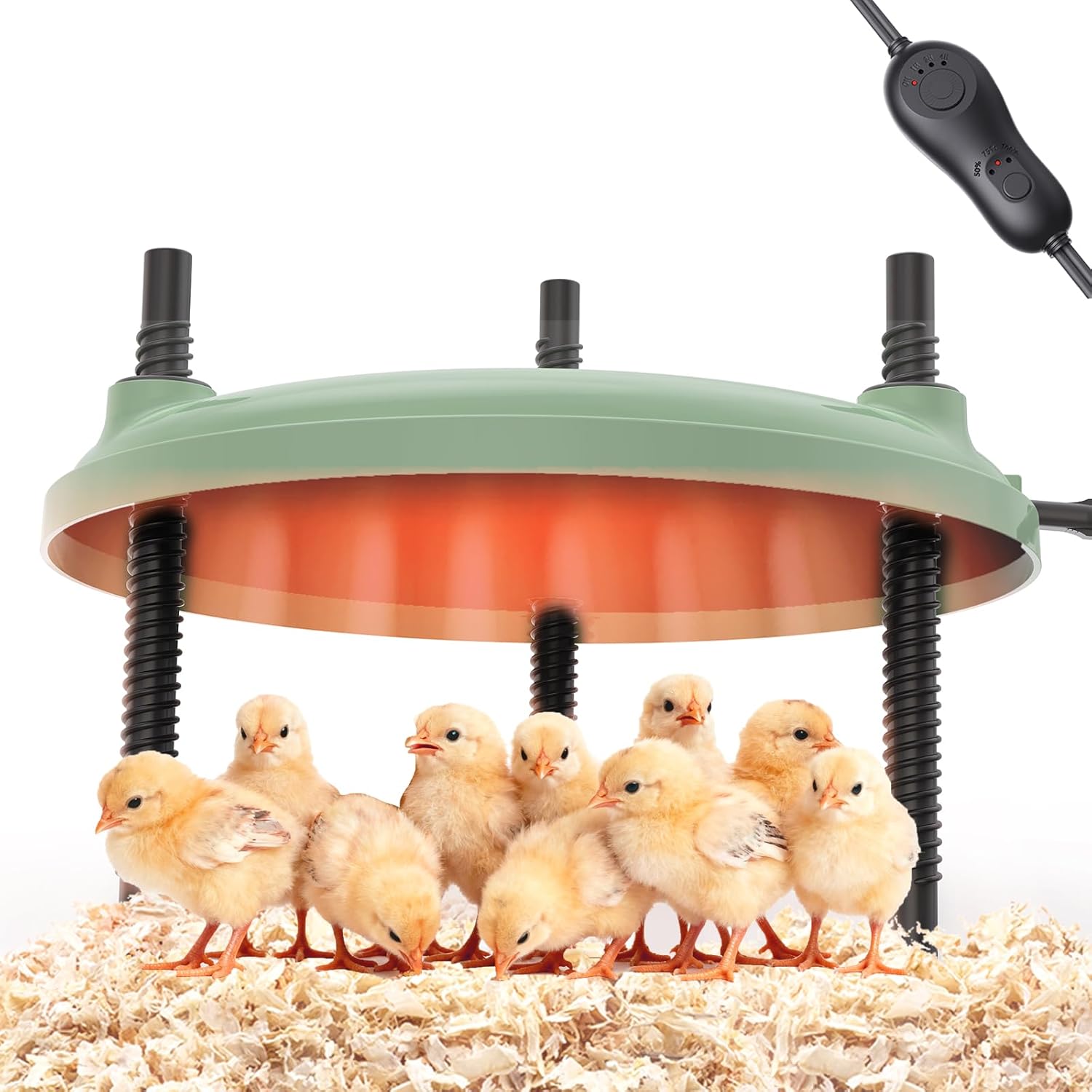 Brooder Plate for Chicks,12inch Metal Heating Plate,Perfectly Adjustable Height & Angle, 35W Chick Warmer for Brooding Newborn Chicken Duckling Quail,Chicken Coop Heater, Warming Puppy Cats
