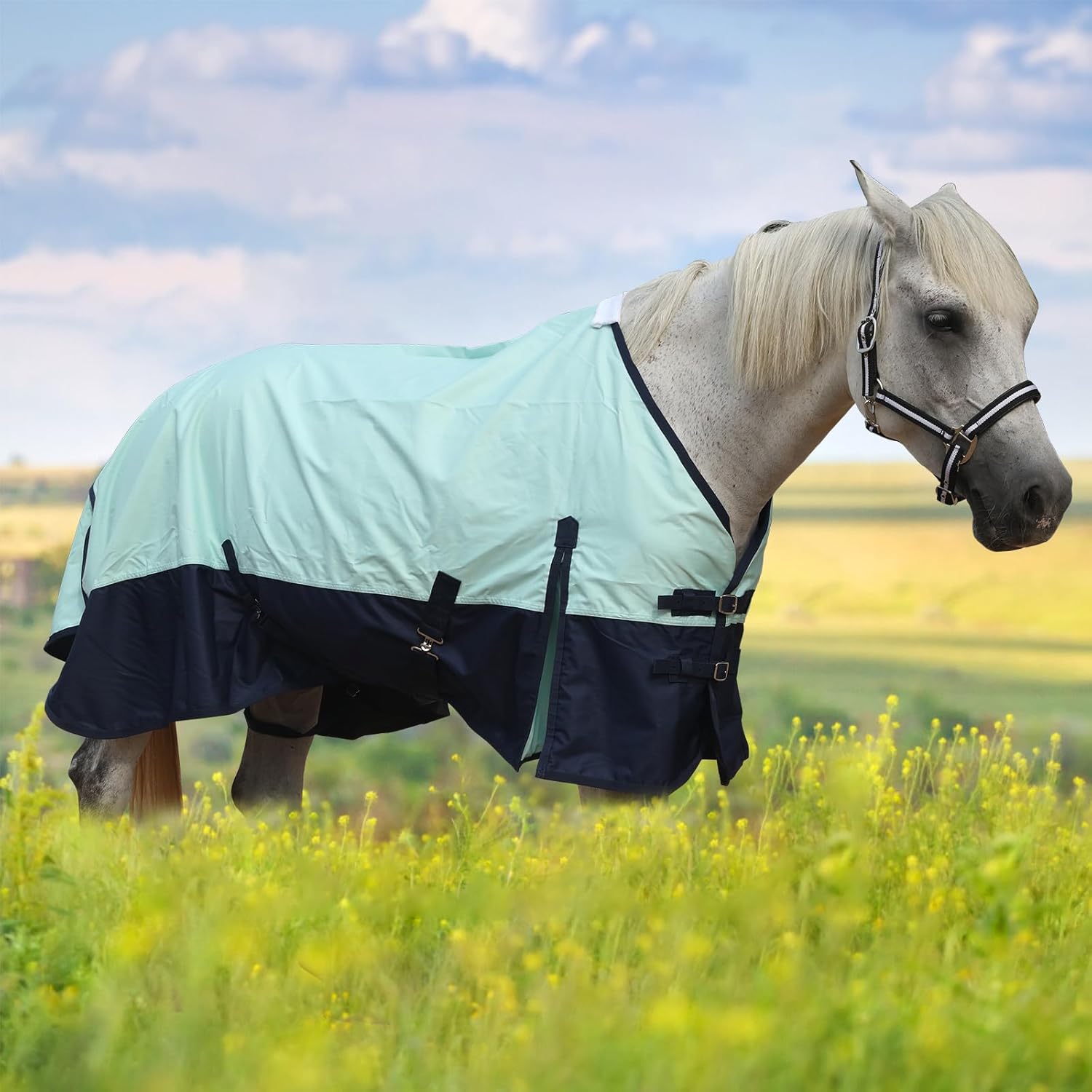 600 Denier Rip-Stop Horse Rain Sheet Lightweight Waterproof and Breathable Turnout Horse Blanket (No Fill) Turquoise/Navy 81