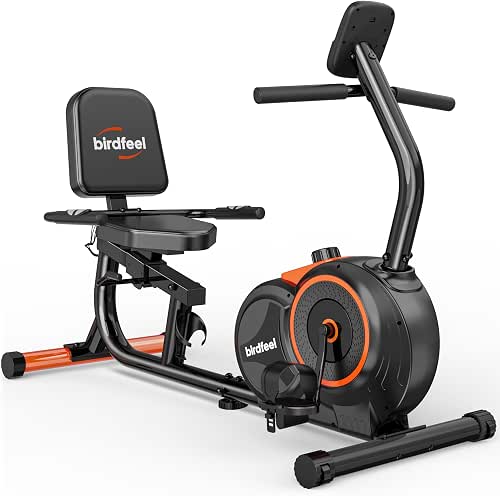 Recumbent Exercise Bike for Home,Recumbent Stationary Bikes for Adults &