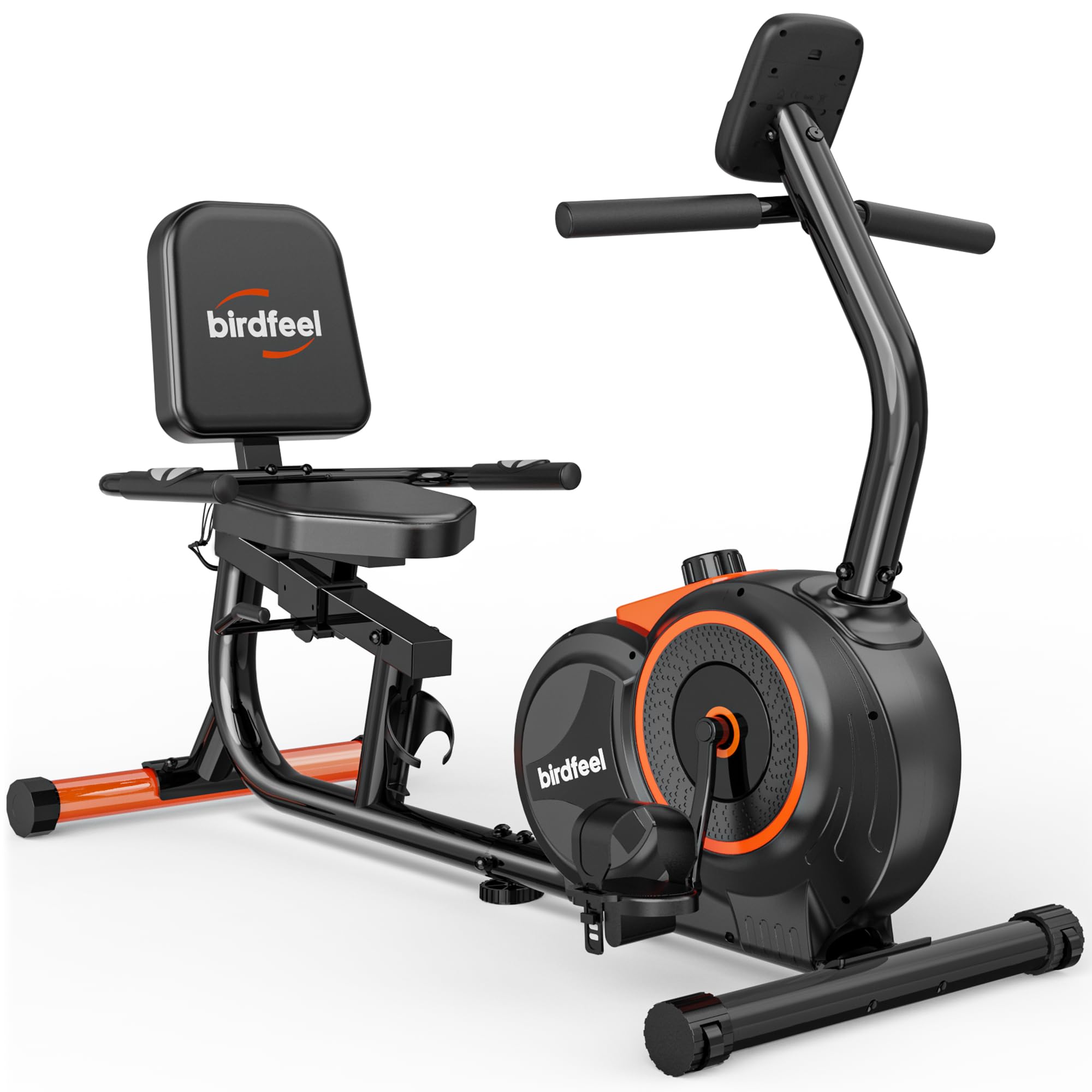 Birdfeel Recumbent Bike
