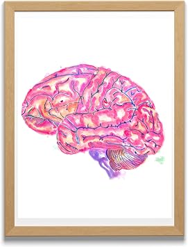 MEDPAPERS Brain Anatomy Watercolor Art Print Neurology Neurosurgery Clinic Wall Decor Neuroanatomy Gifts Psychiatry Psychology Office Artwork 5x7 in
