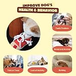 Jouets pour chiens squaky Snuffle pour petits, moyens et grands - Tug of War Puppy Chew Toys, Don de chien - Chaussures