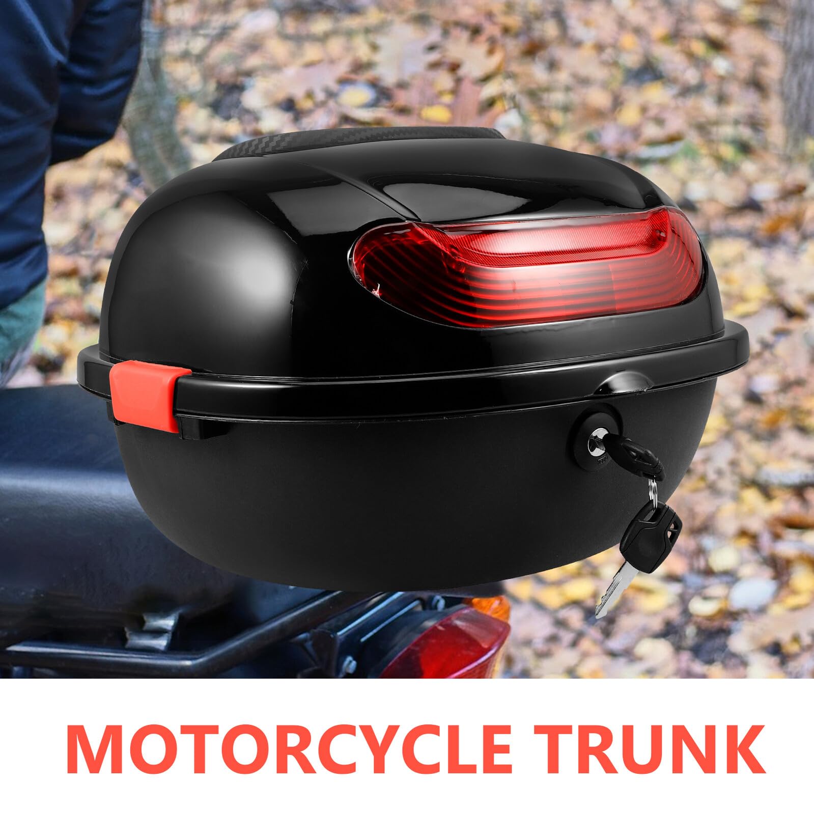 PRETYZOOM Bauletto Moto Posteriore con Schienale, Vano Capiente, PP