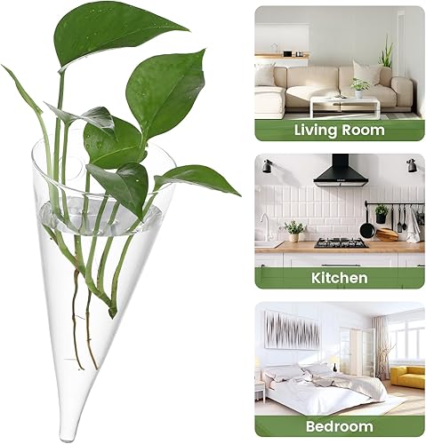 Miniatura 5 de YARNOW 2 jarrones circulares transparentes para colgar en la pared, 3.5 x 8.1 pulgadas, macetas de propagación de pared, decoración interior para