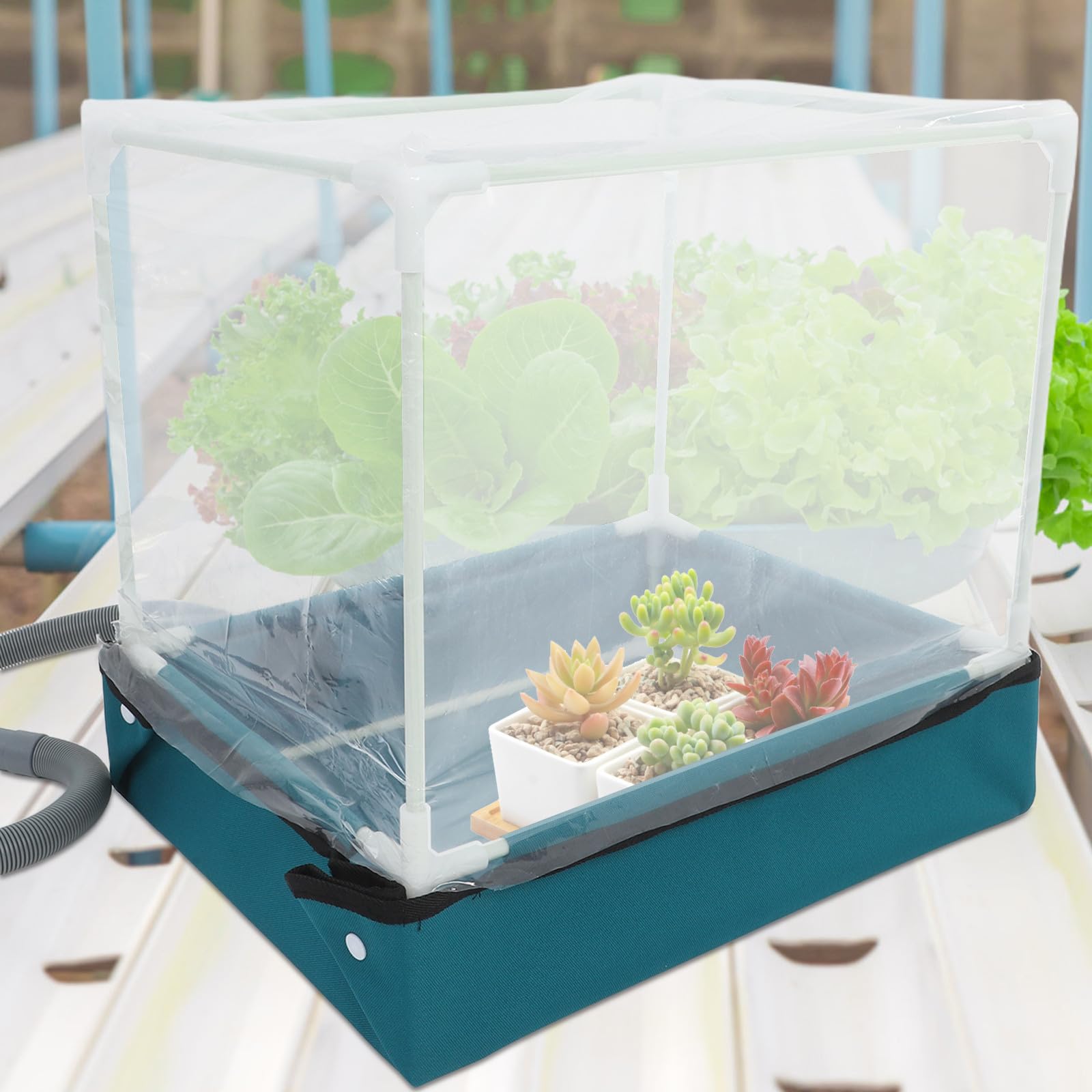 Serra per Succulente Pieghevole da Interno Drenaggio e Irrigazione