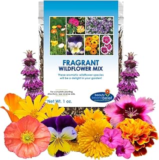 Fragrant Wildflower Seeds Mix - 1oz, Aromatic Annual and Perennial Wildf...