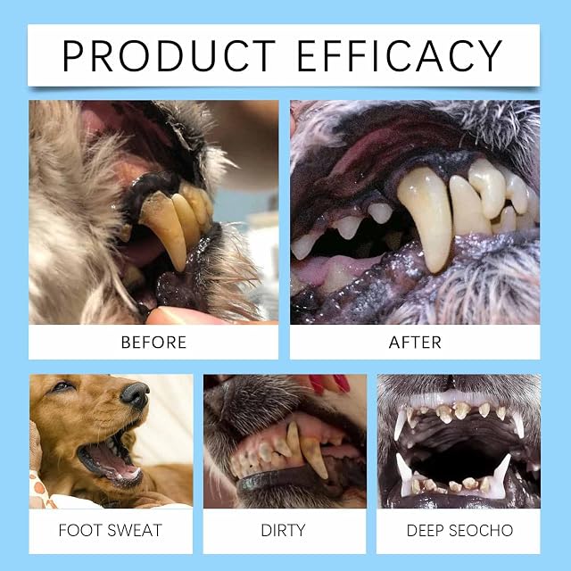 Foto 5 de 7 de Pet Toothbrush Pen - Pet Toothbrush Cleaning Pen,Dog Teeth Care Cleaning Pen,Dog Tartar Remover for…