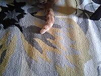 Review Image by Kétie Kétie