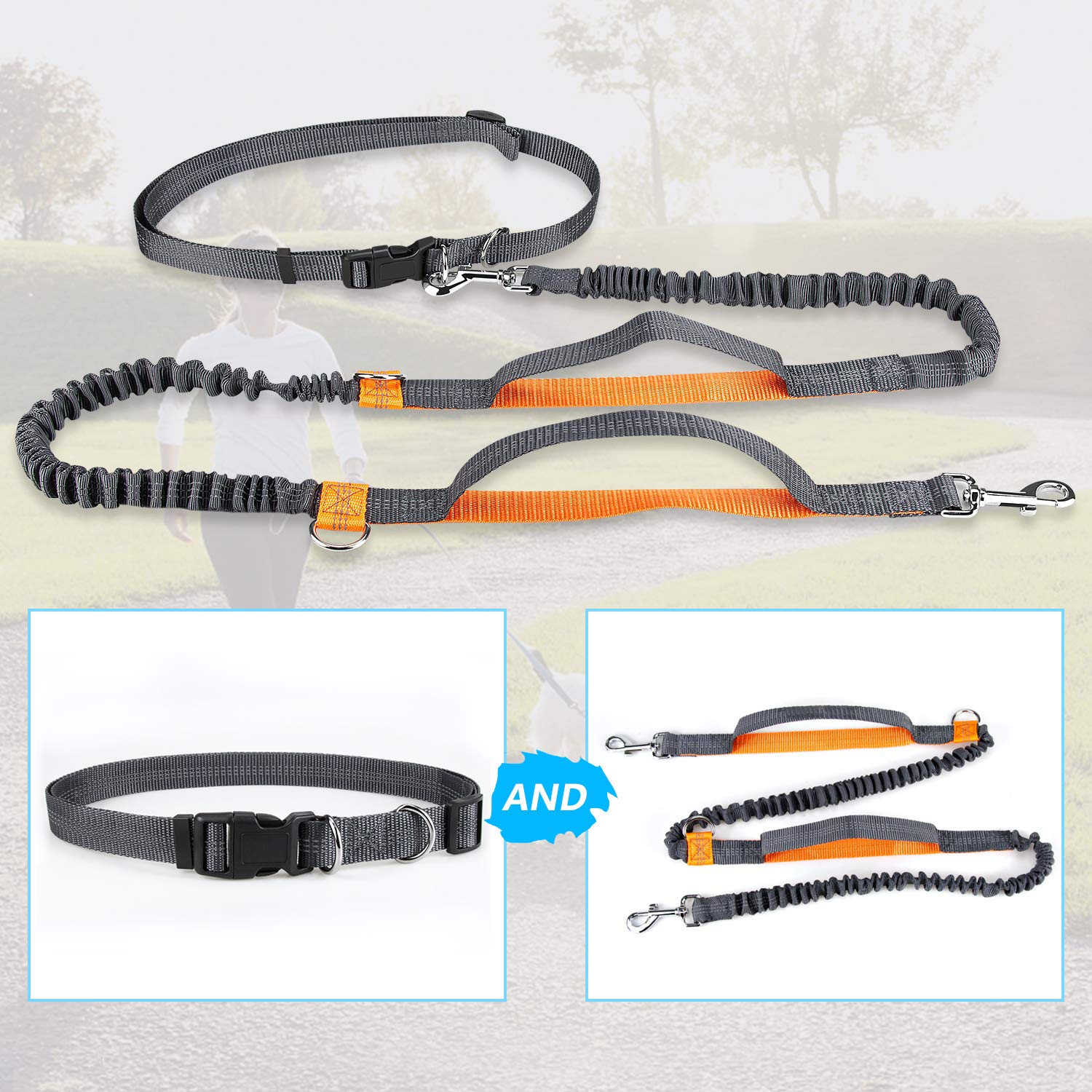 Achort Handfreie Hundeleine, Hundegrtel,Taillengrtel, Hundeleine,  Koppler, Lauf- und Jogging-Leine, Grtel mit einziehbarem Bungee,  reflektierende Nhte fr bis zu 110 kg Hunde (Orange) : Amazon.de: Haustier