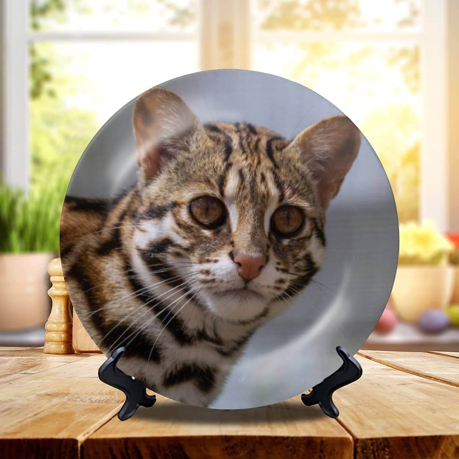 Ceramic Hanging Decorative Plate Close Up of a Beautiful Asian Leopard Cat Wall Plate Ceramic Ornament for Home & Office, Dining, Parties, Wedding 10