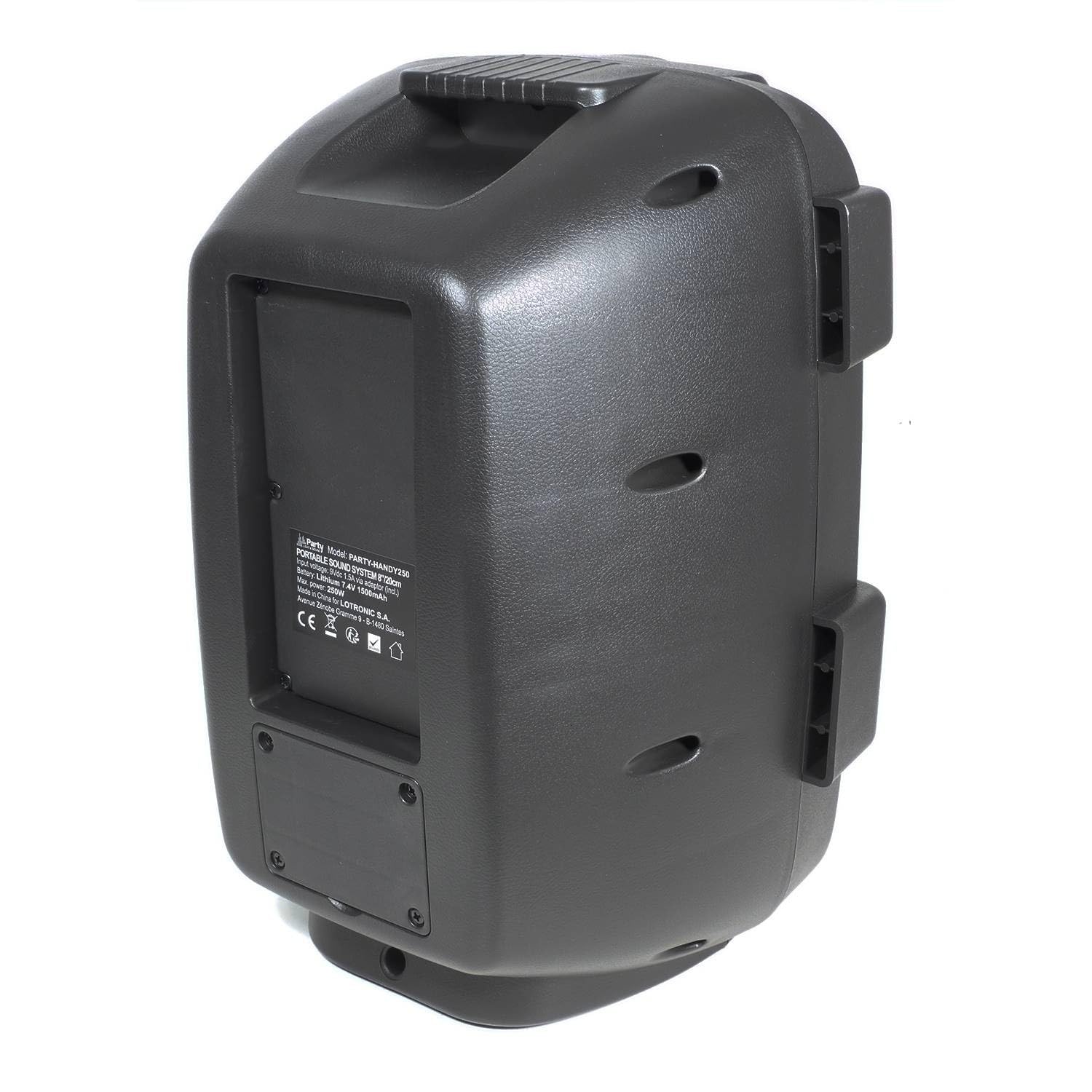 Enceinte Portable 8"/20cm 250W avec USB/Bluetooth/FM - Party Light & Sound HANDY250