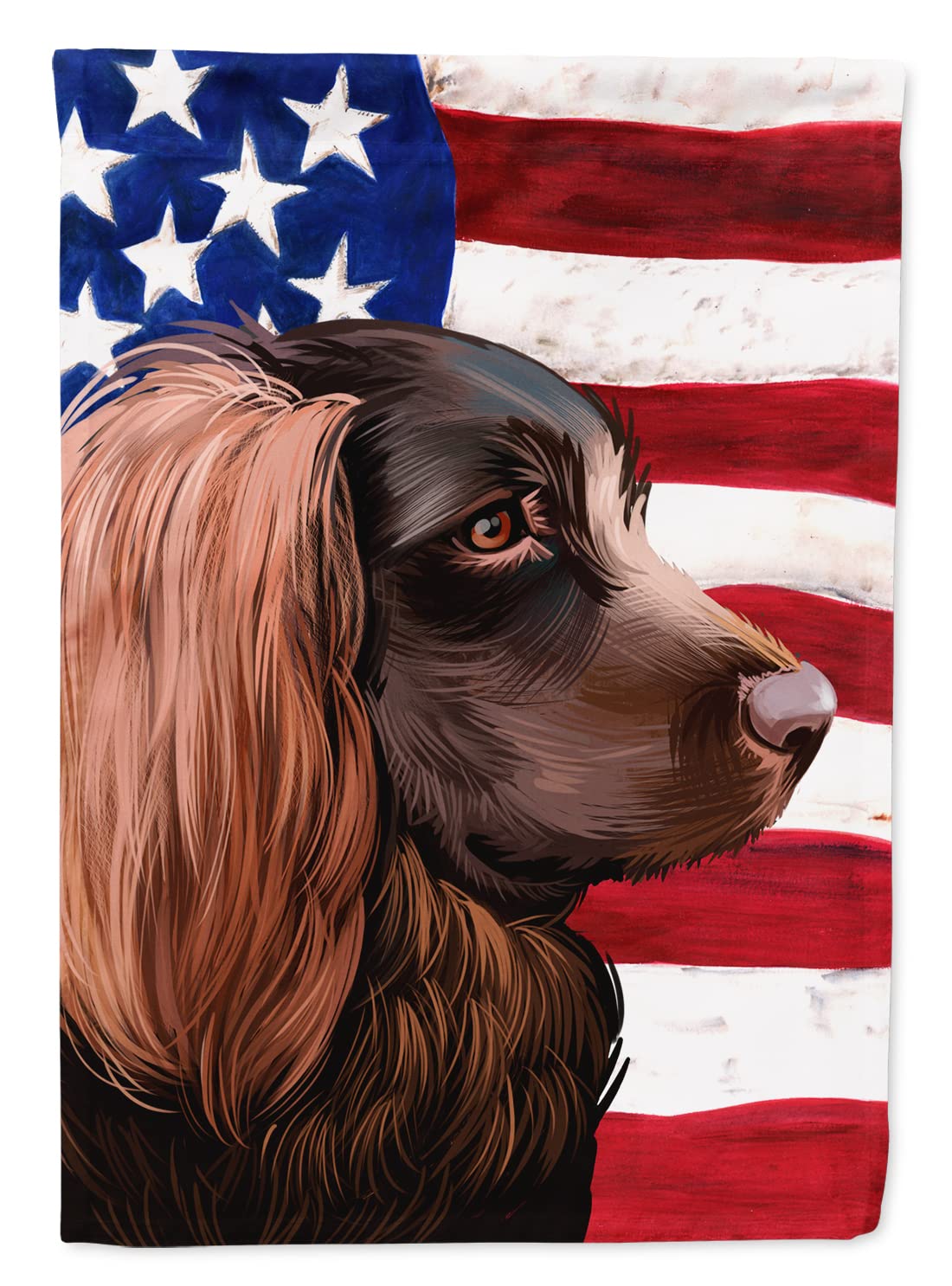 Drapeau Boykin Spaniel décoration extérieure de jardin et façade de maison américaine