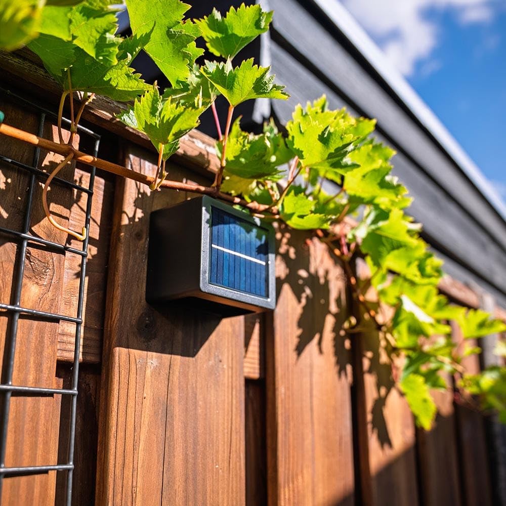 HOFTRONIC - Louis 4er Set Solar Wandleuchte Up Down - CCT 3000K & 5000K - IP65 Wasserdicht - Solar Außenleuchte - Inkl. Dämmerungsschalter