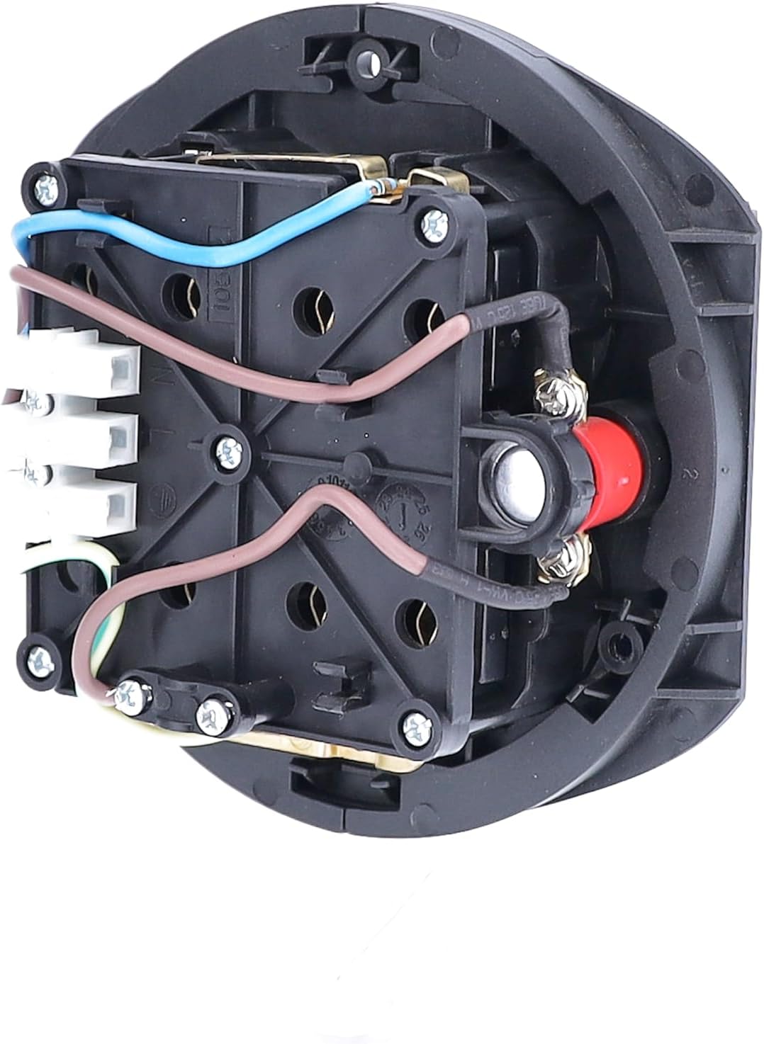 as - Schwabe as 11542 Socket Insert 4-Way IP20 with Blue Hinged Lid and Thermal Circuit Breaker