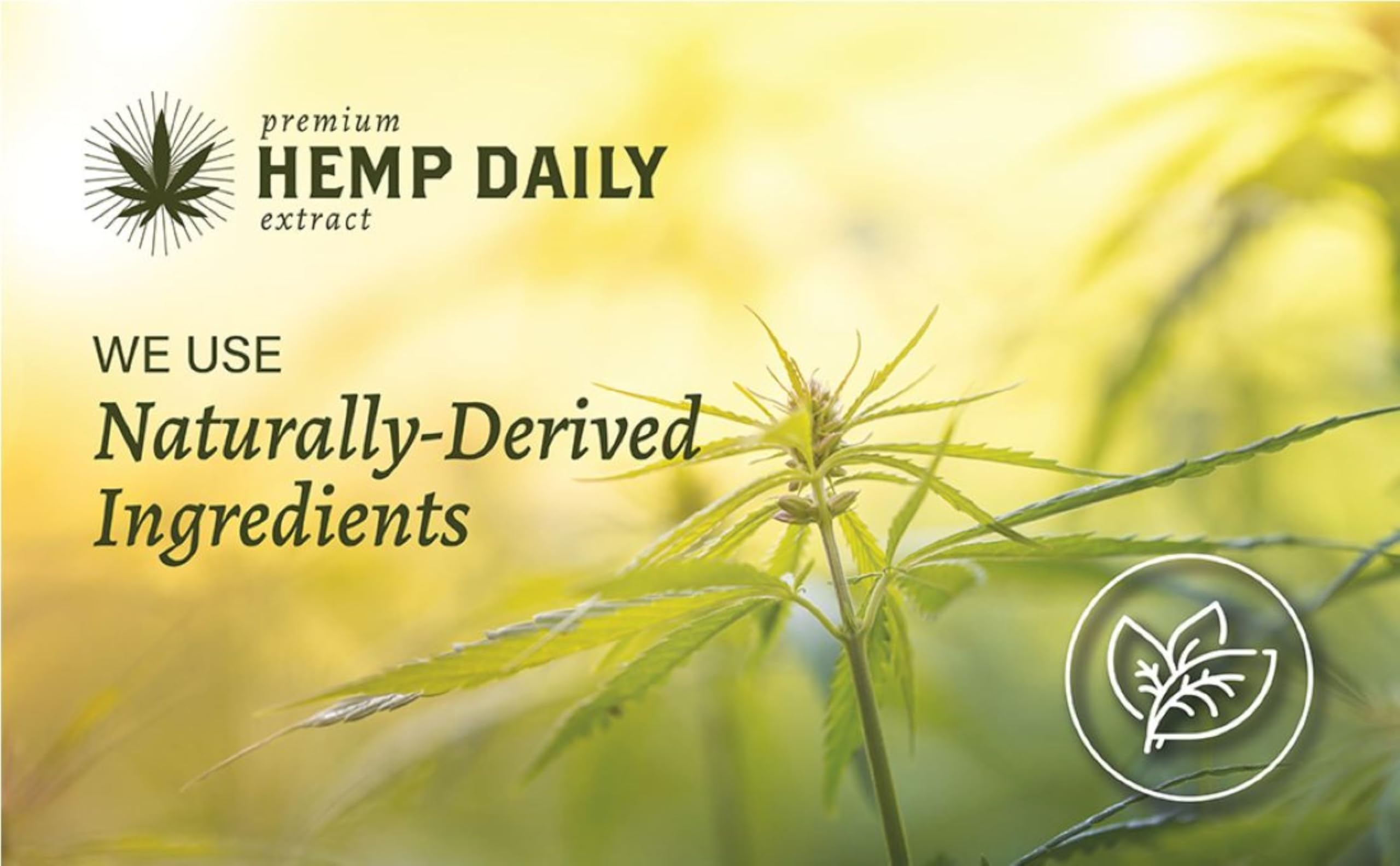Premium Hemp Extract Daily Triple Cream - Menthol, Argan, Jojoba, Rosehips - Lightweight, Fast-Absorbing Moisturizing Topical Lotion with Essential Oils - 1.7 Ounces (Lavender, Pack of 1)