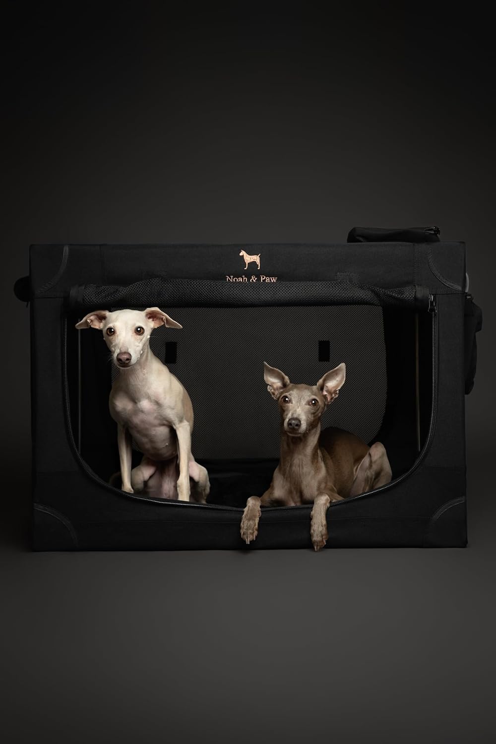 Travel Smart: Review of the Noah & Paw Collapsible Dog Crate for Large Breeds