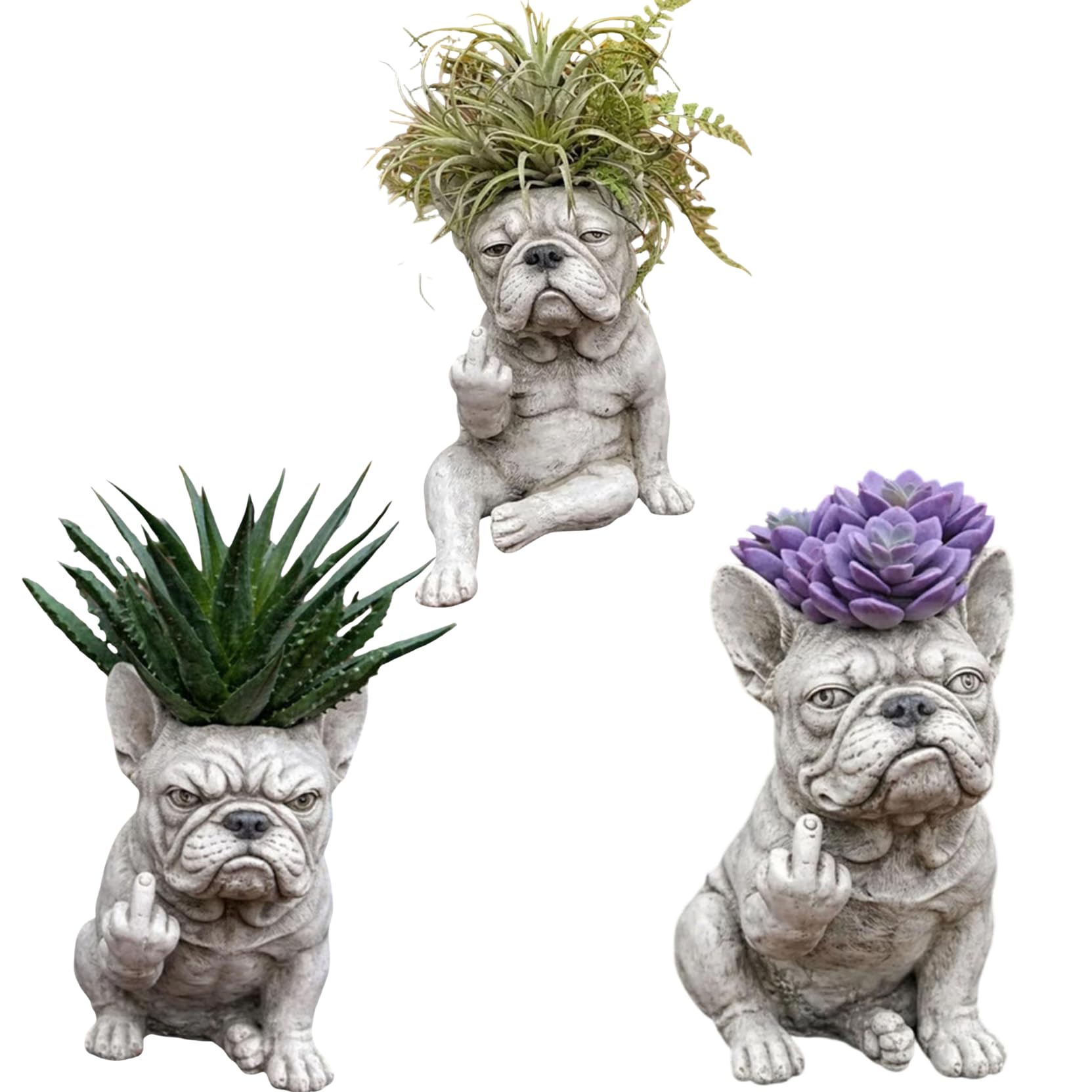 Pot de fleurs amusant en forme de bouledogue français, pot de fleurs créatif en résine, décoration de jardin, statue de chien, pot pour plantes d'extérieur (blanc_D)