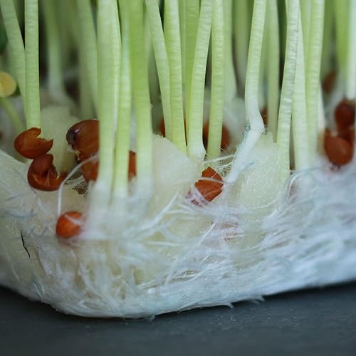 Miniatura 7 de Micro Mat Hydroponic Confetti - Bolsa de 5 libras - Medio de cultivo compostable para microgreens y pasto de trigo - Alta capacidad de retención de