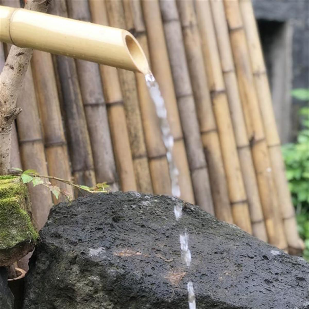 Fuente solar con bomba, fuente de agua independiente para exteriores, panel solar de 6 W, filtro de agua, tubo de agua de 2 m para jardín y patio