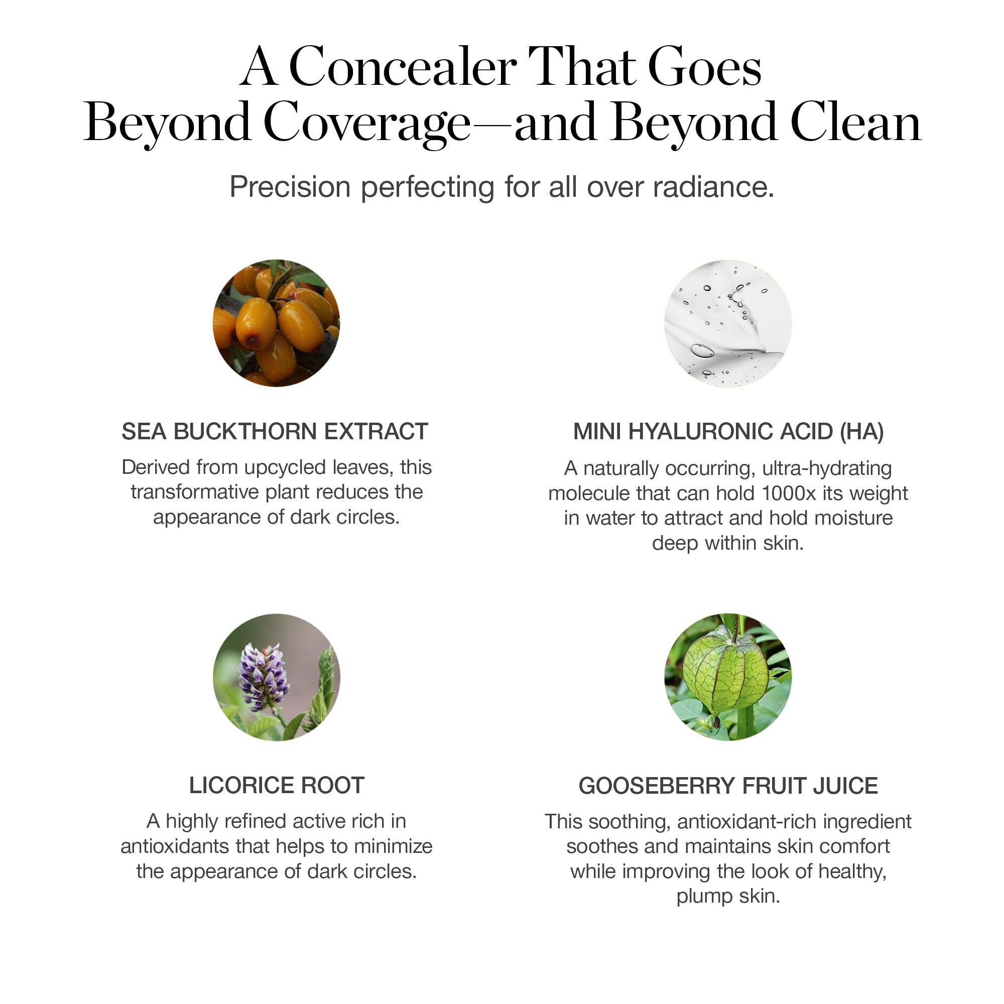 Snapklik.com : Ogee Complexion Perfecting Under Eye Concealer ...