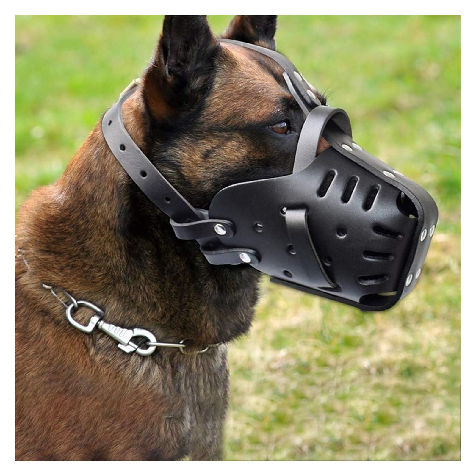 Hundetraining-Maulkorb, Maulkorb for Hunde aus sanftem Leder zur Kontrolle von Bellen, Beißen und Kauen – verstellbar for kleine, mittelgroße und große Hunde