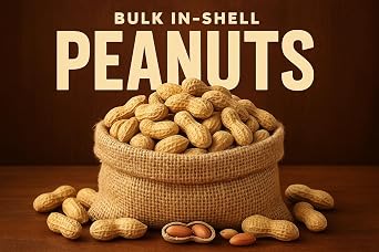 Gurley's Jumbo Salted & Roasted In Shell Peanuts, Non GMO Healthy High Protein Snacks, Salty Peanut Snack Sized Bags, 12 oz Bag Bulk In-Shell Party Peanuts (Pack of 12)