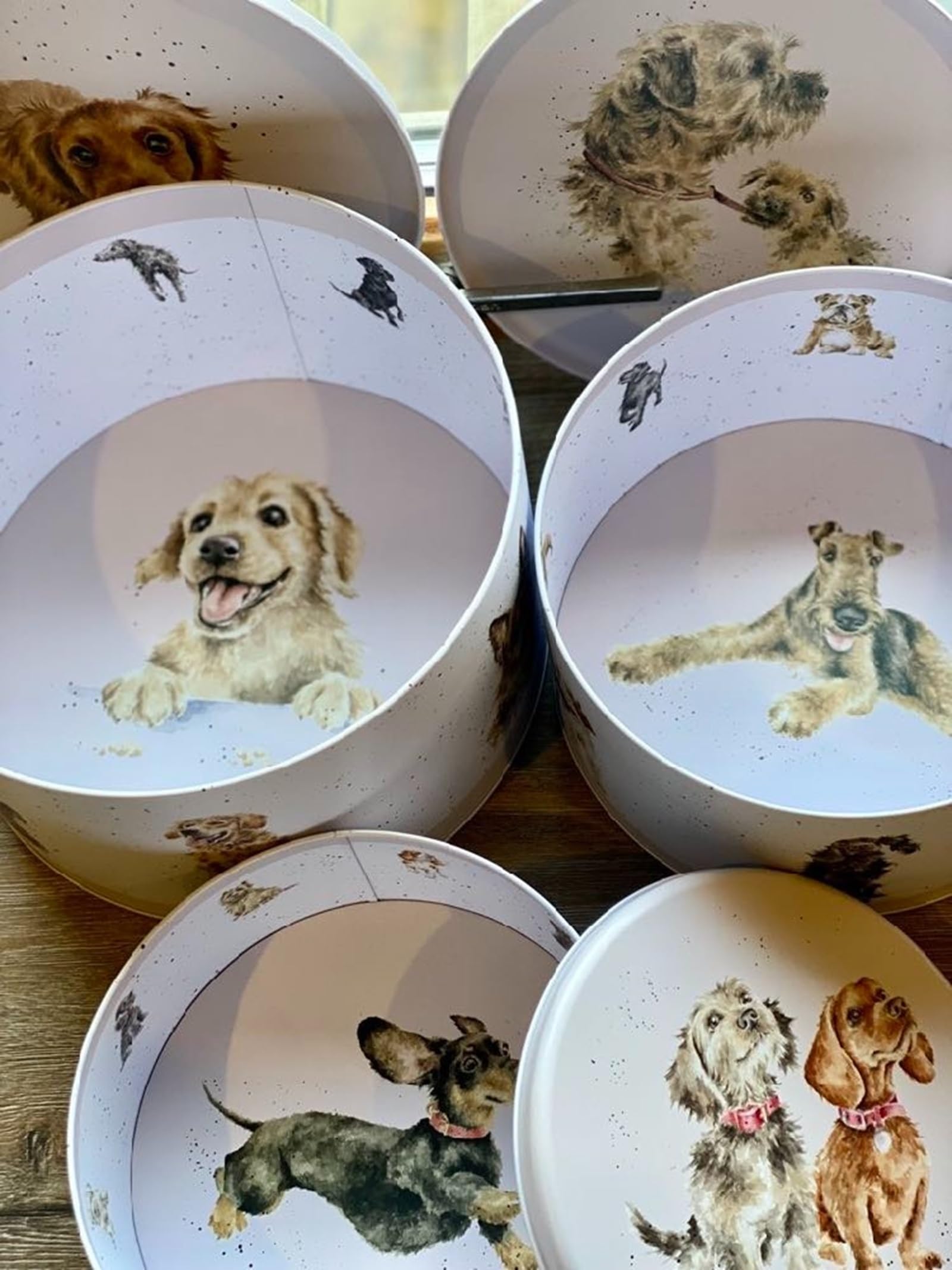 Wrendale Designs Hannah Dale Kuchenform "A Dog's Life", 250 mm, 225 mm und 195 mm Durchmesser