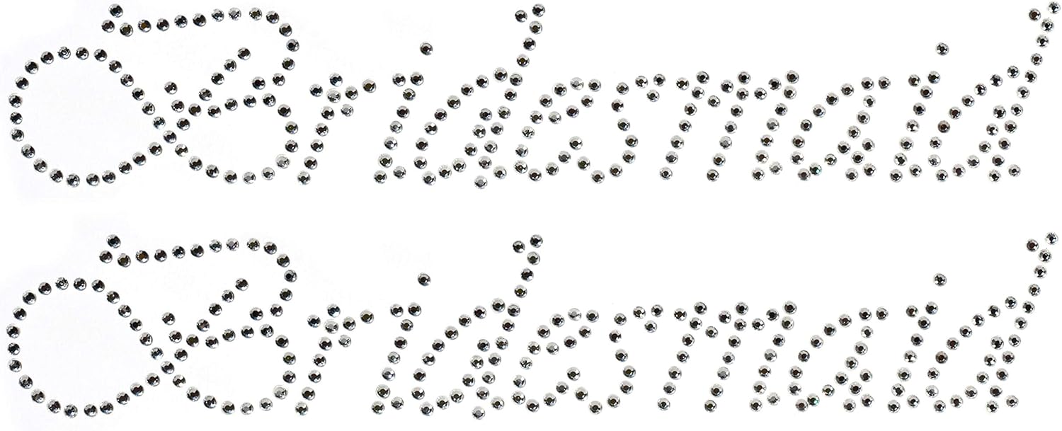 BRIDESMAID clear rhinestone iron-on Hotfix transfer bling DIY- Lot of 2!!!