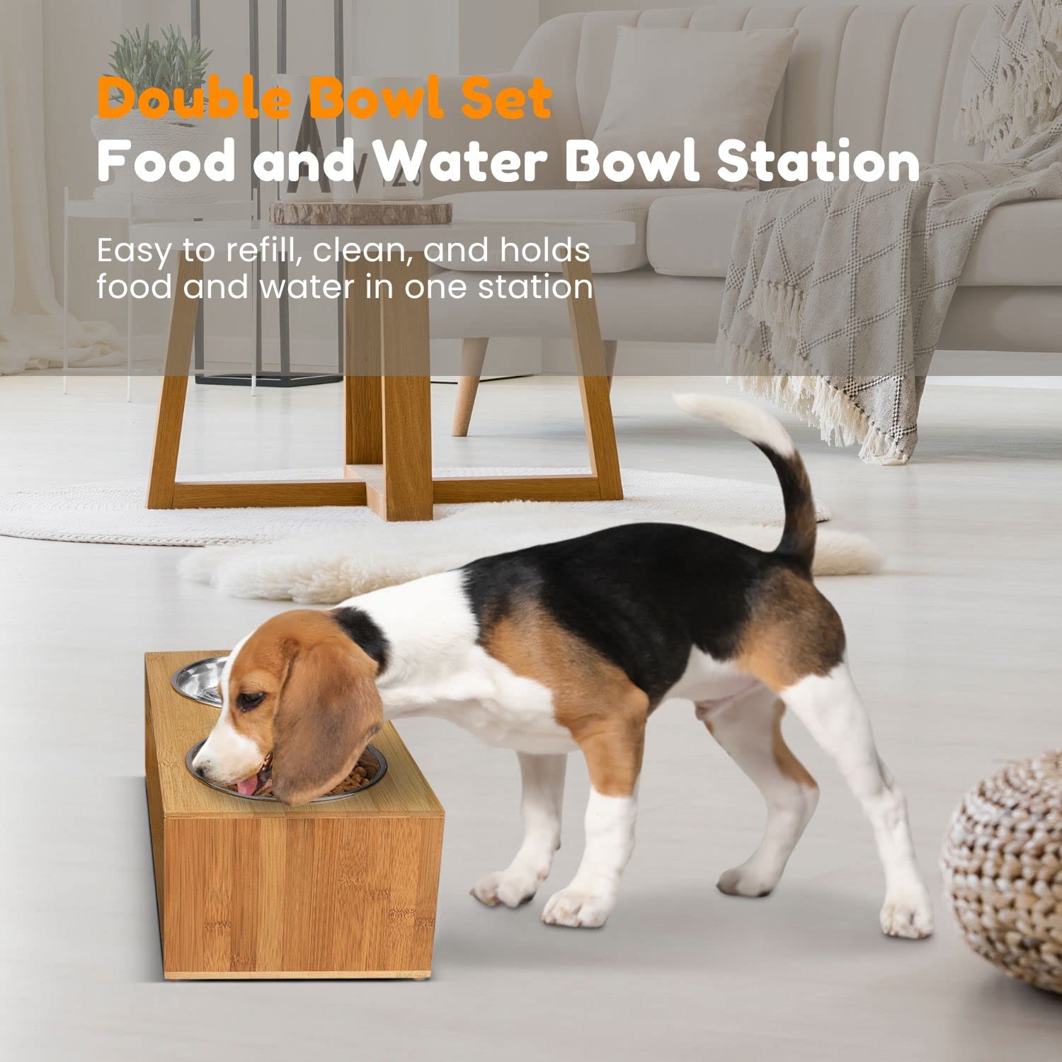 Flexzion Ciotole Elevate per Cani e Gatti - Stazione di Alimentazione Vassoio di Alimentazione Rialzato bambù con Doppio Piatto Cibo Acqua (18 Oz, 6 "di Altezza) Ciotola Rialzata con Supporto Acciaio