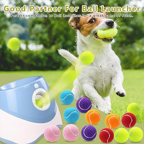 Miniatura 5 de Magicorange Pelotas de tenis pequeñas, paquete de 20 pelotas de tenis de 2 pulgadas para perros, coloridas y fáciles de atrapar con bolsa de malla