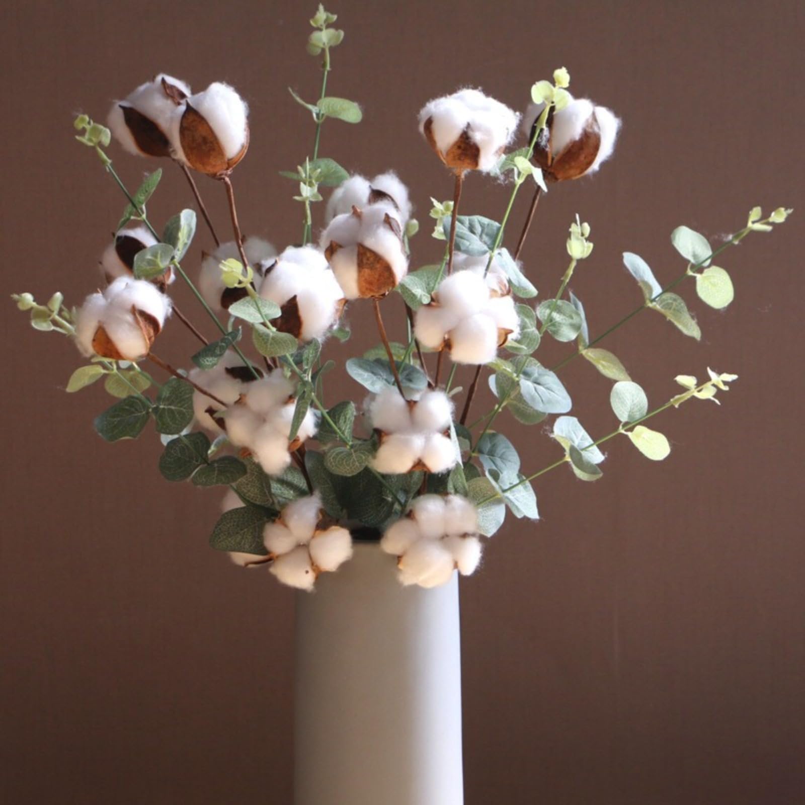Fleurs séchées en coton avec 4 feuilles d'eucalyptus