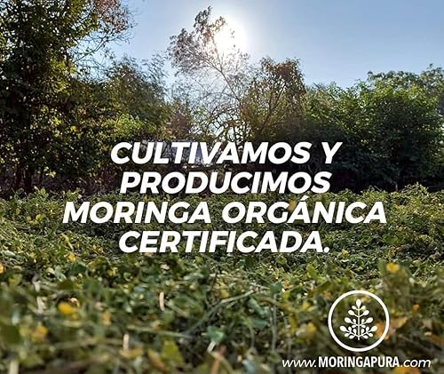 Miniatura 7 de Manha, Moringa Orgánica, 90 Cápsulas 500 mg. Suplemento Dietético Moringa, Romero, Chia, Jamaica, Linaza, Tamarindo Fibra Dietética.