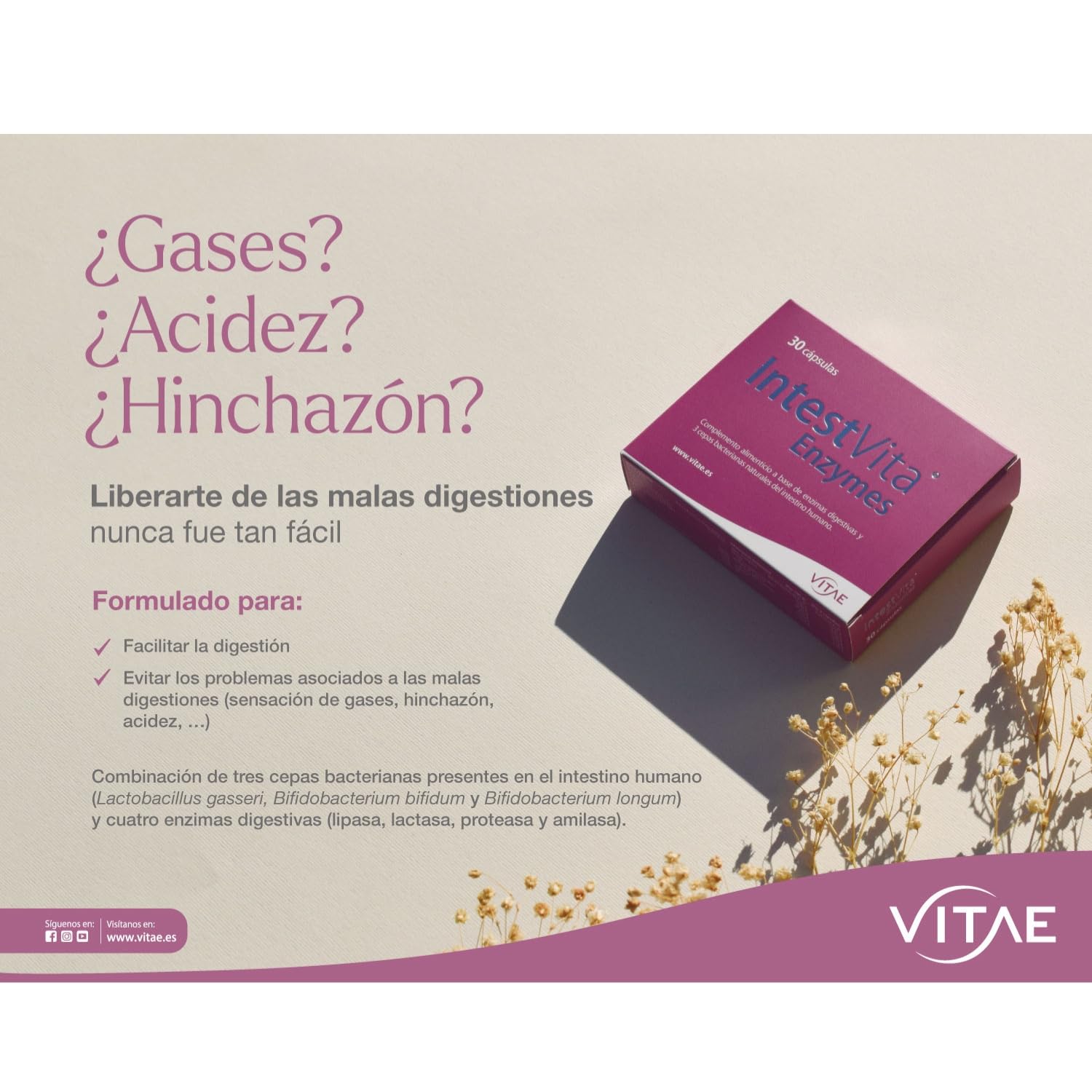 Vitae IntestVita Enzymes 60 cápsulas | Enzimas Digestivas y Probióticos | Combatir problemas digestivos | Acidez | Malas Digestiones | Gases | Cuidado y Salud Digestiva