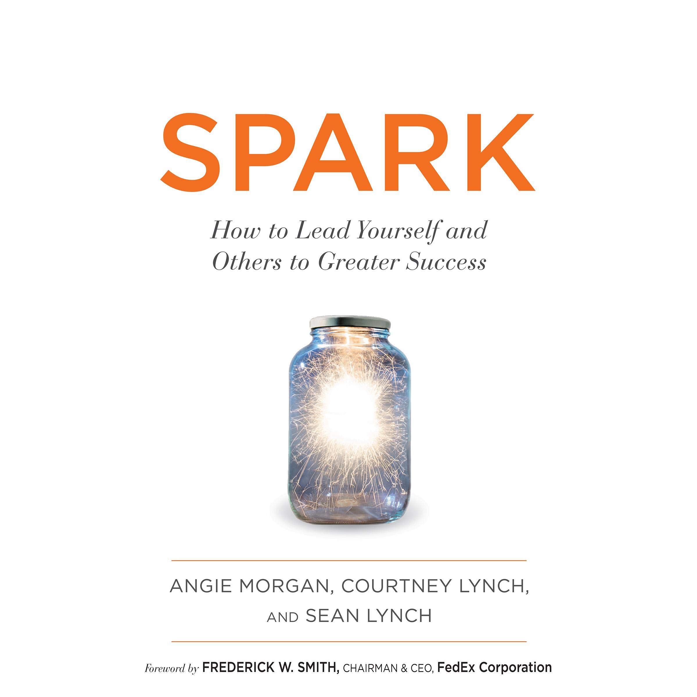 Cover art for Spark: How to Lead Yourself and Others to Greater Success