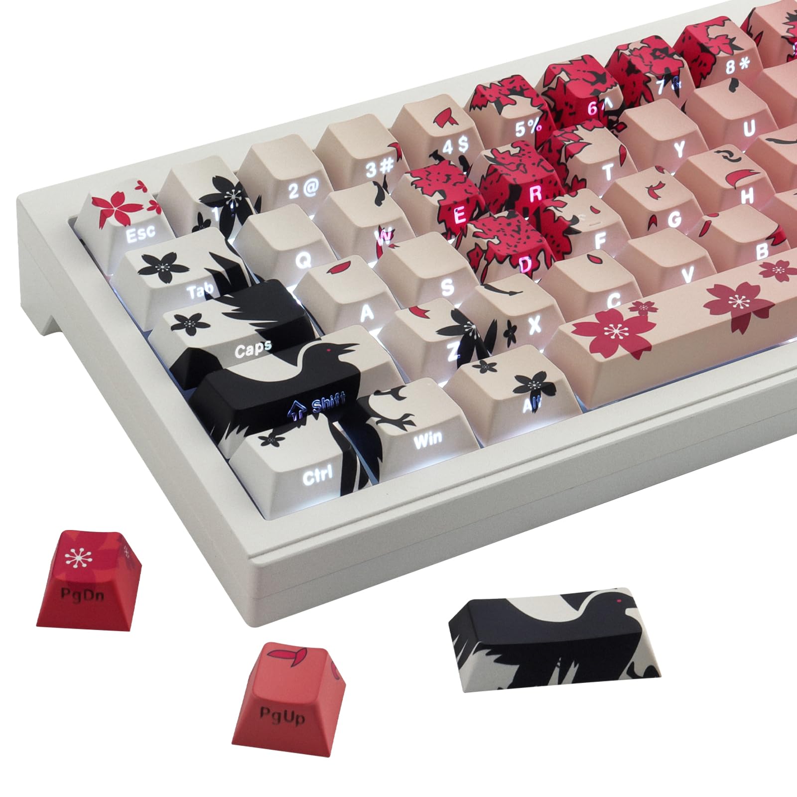 JakeTsai Keycaps, 135 tasti a Sublimazione con profilo ciliegio, incisi lateralmente, trasparenti, set di Keycap per Switch Cherry MX layout ASIN/ISO Tastiere Meccaniche