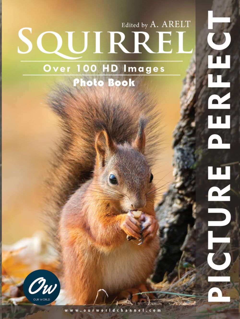 Squirrel: Picture Perfect Photo Book