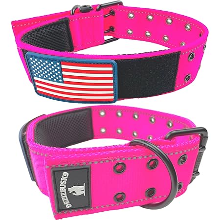 desert k9 collar