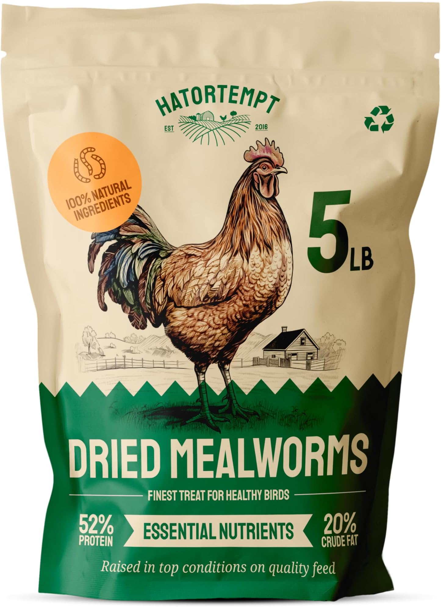 Lightbrown Roasted & Cleaned 40LB Premium Peanuts for