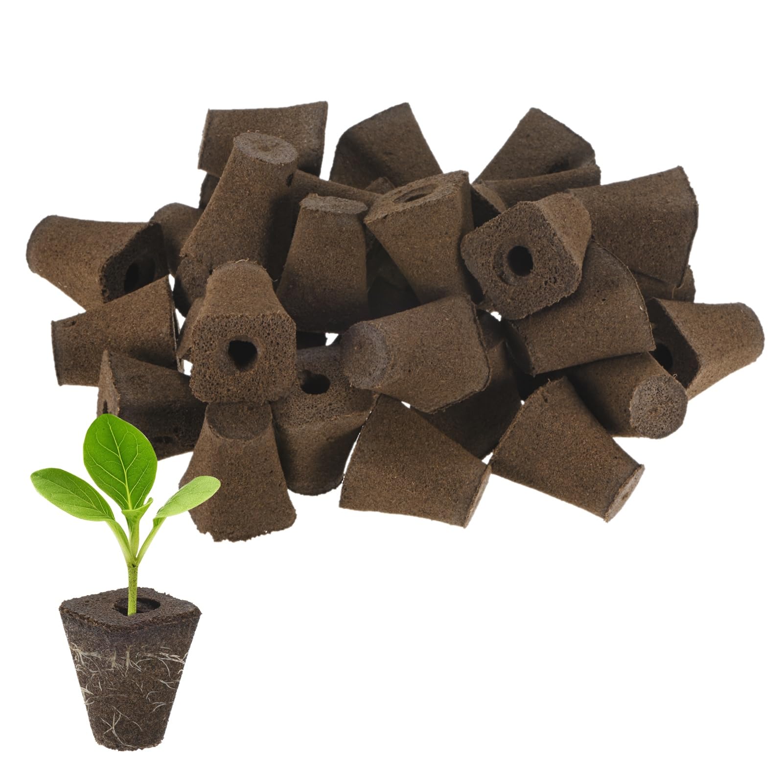 M METERXITY 50-Pack Grow Sponges, 1.1x0.7x1.4 Inch Replacement Root Growth Sponges Seed Pods for Plant Rooting/Seed Germination/Hydroponic Gardens System Supplies, Starter Plug for Seeds